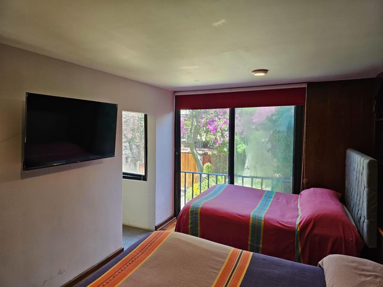 Terraza & Loft San Angel Apartment Mexico City Exterior photo